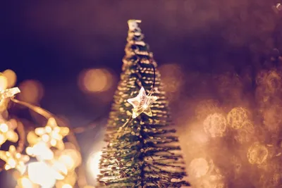 The Best Solar Christmas Lights That Actually Work in Winter