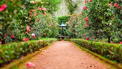 10 Best Solar Landscape Lights for Any Yard or Garden in 2026