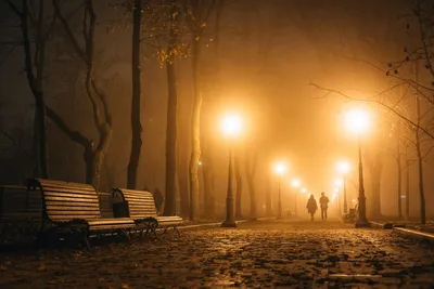 Solar pathway lights along a curved garden path