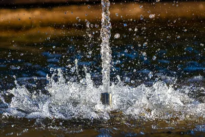 Solar pond lights glowing beneath water in a garden pond