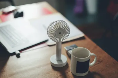 Solar powered fan positioned in a greenhouse