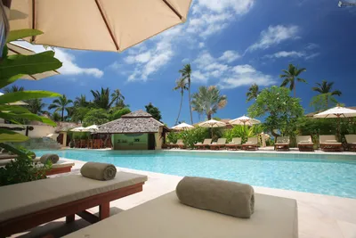 10 Best Solar Patio Umbrellas That Light Up Your Outdoor Space