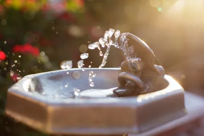 Solar water feature cascading in a landscaped garden