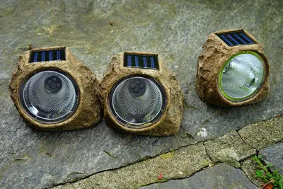 Affordable solar lights displayed along a garden border