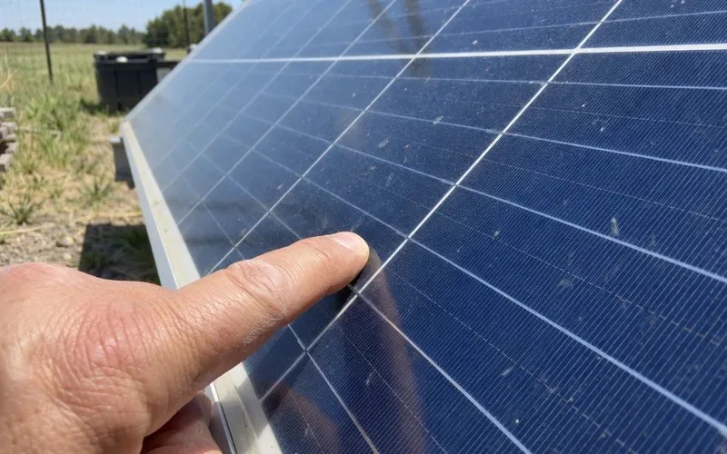 Close look at the silicon cells and grid lines on a solar panel
