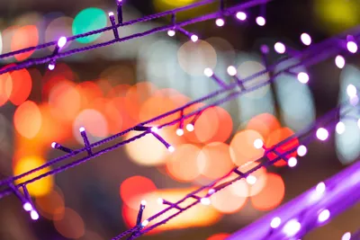 Solar string lights strung across a backyard patio