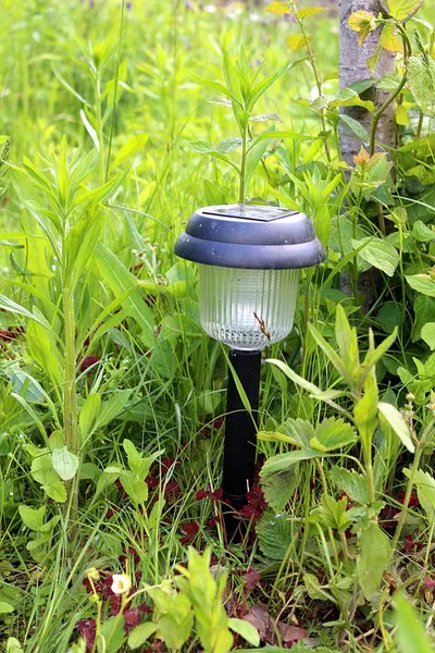 Solar decorative accents arranged in a garden