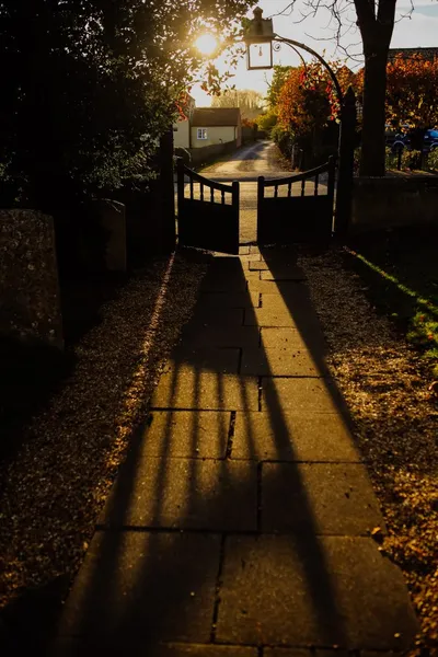 Solar driveway markers lighting a residential driveway at night