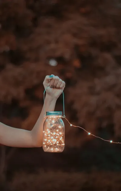 Warm white solar fairy lights decorating a garden trellis