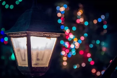 Solar lanterns and lamps displayed indoors and outdoors