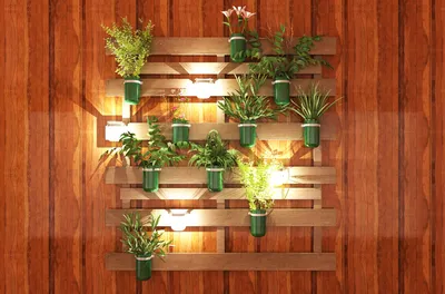 Solar LED wall light mounted on an exterior wall