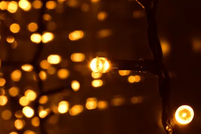 Solar mini lights decorating a window sill
