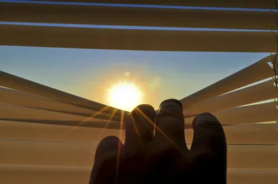 Solar blinds partially drawn in a sunlit window